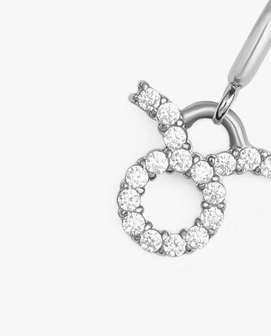  DANIEL WELLINGTON - Charm đồng hồ nữ Zodiac 