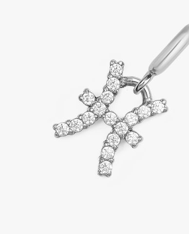  DANIEL WELLINGTON - Charm đồng hồ nữ Zodiac 