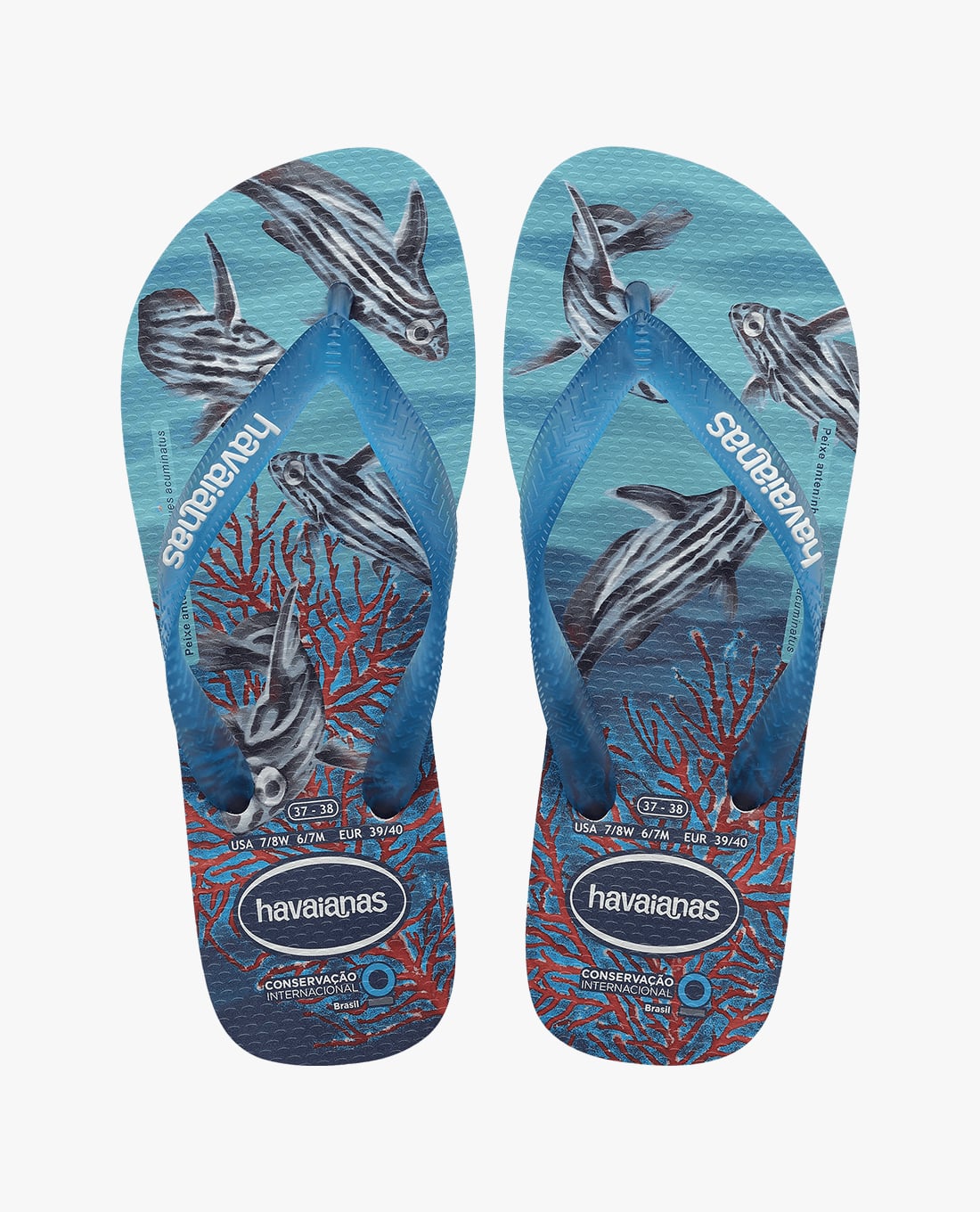 HAVAIANAS - Dép kẹp nam Conservation International