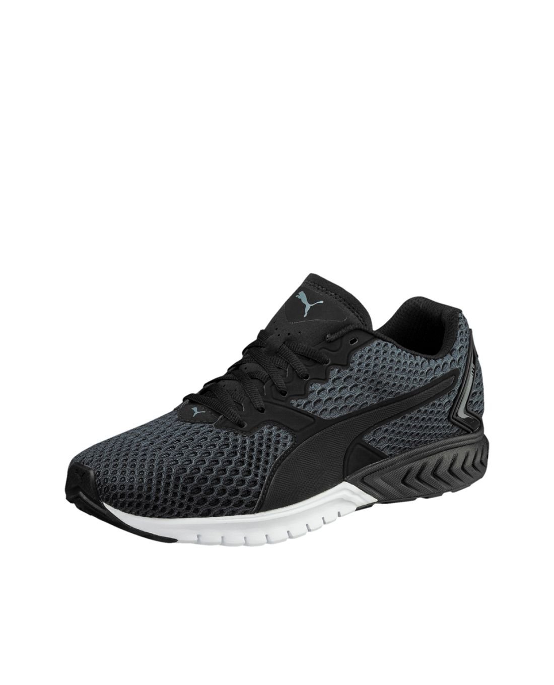 Ignite dual new core puma 2025