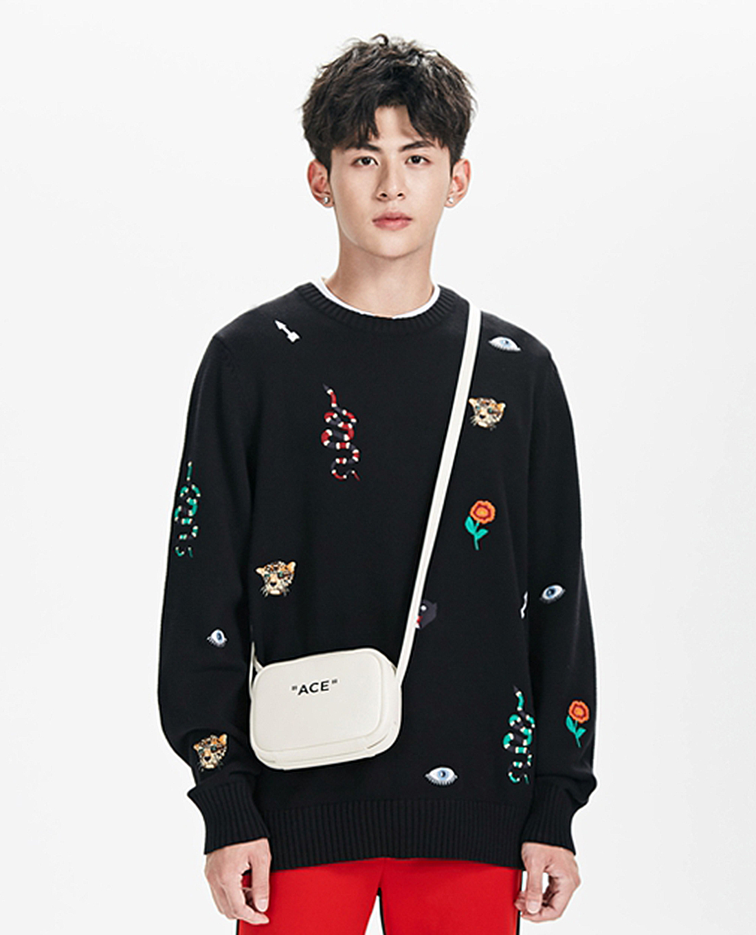 TRENDIANO - Áo sweater nam Animal Embroidere