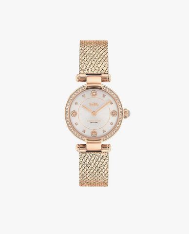  COACH - Đồng hồ nữ mặt tròn Carry 14504012 