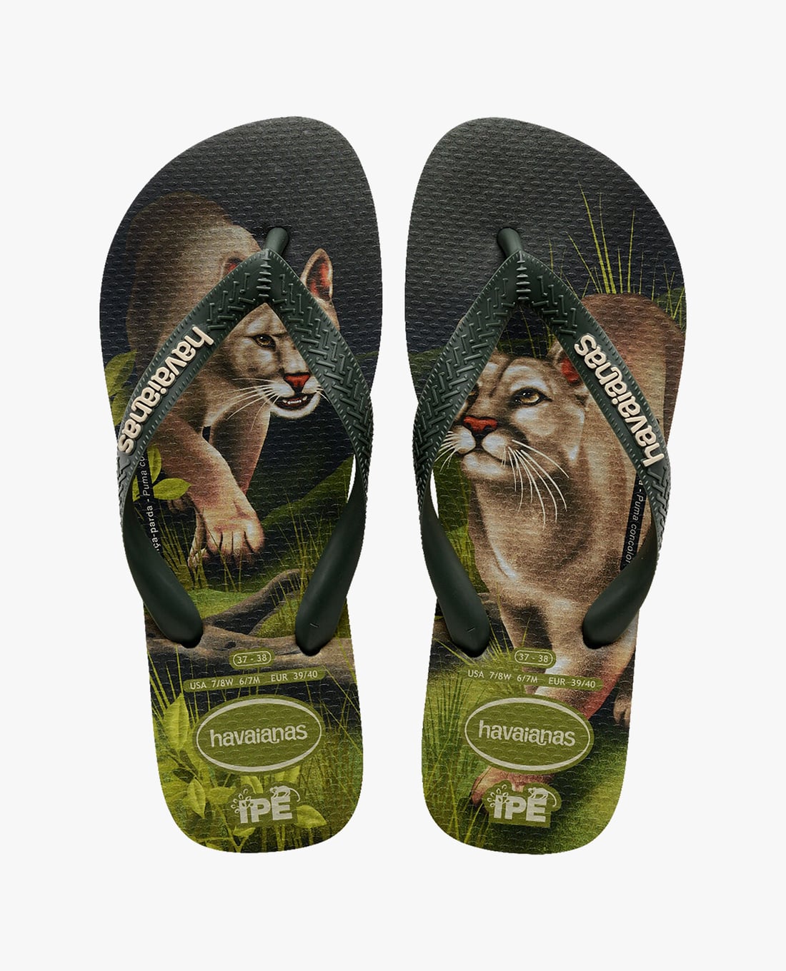 HAVAIANAS - Dép kẹp unisex Ipe