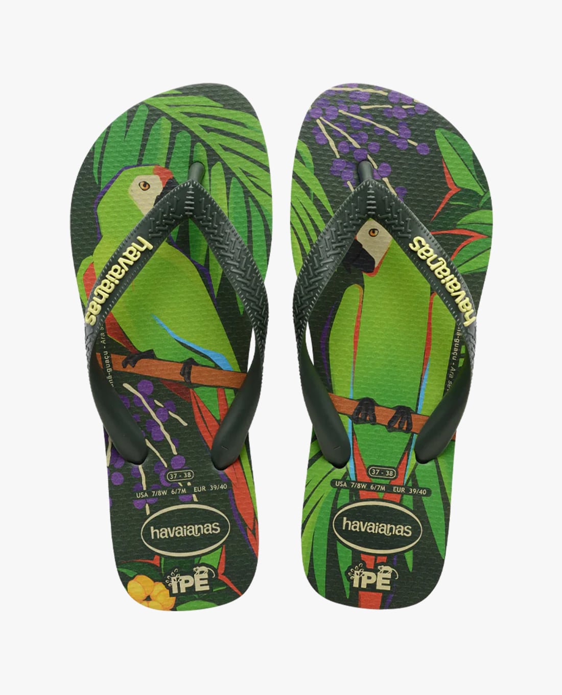 HAVAIANAS - Dép kẹp unisex Ipe