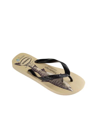  HAVAIANAS - Dép kẹp nam Conservation International 