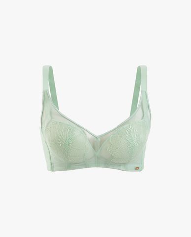  iBasic - Áo ngực nữ có gọng mút vừa phối ren cup T shirt 