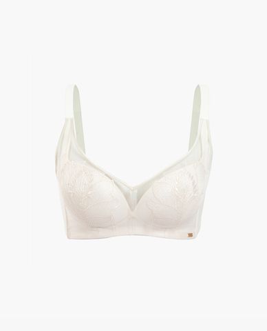  iBasic - Áo ngực nữ có gọng mút vừa phối ren cup T shirt 