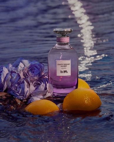  COACH - Nước hoa nữ Dreams Moonlight 90ml 