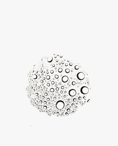  LUSH - Nước cân bằng da Tea Tree 