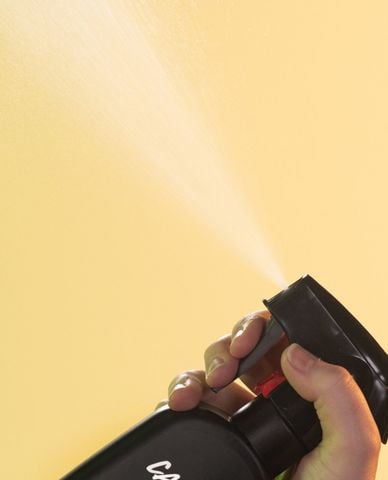  LUSH - Xịt thơm toàn thân Zesty 