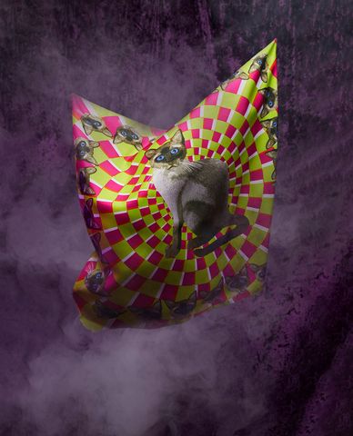  LUSH - Khăn vải Pyewacket 