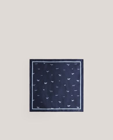  TED BAKER - Khăn tay nam hình vuông Sailii 