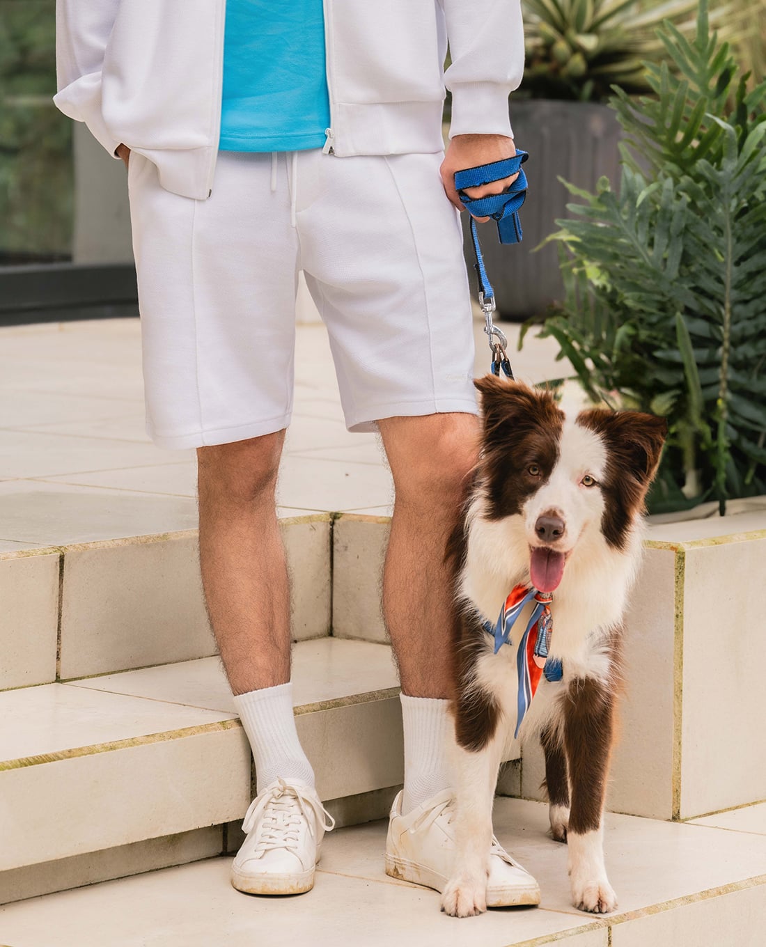 BEVERLY HILLS POLO CLUB - Quần short nam ngang gối phối dây rút hiện đại