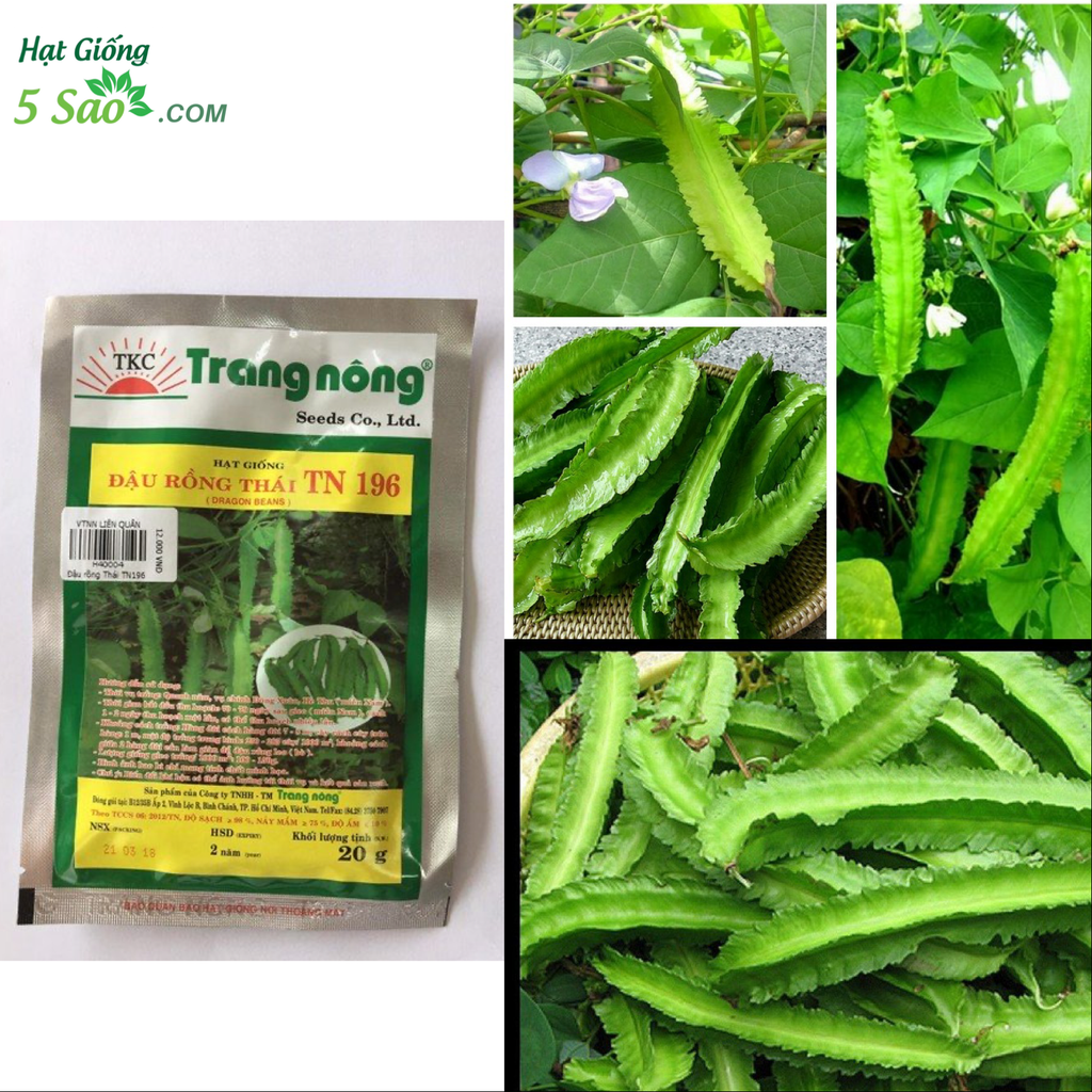 Đậu Rồng Thái TN196