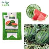 Dưa hấu không hạt F1 RD 211