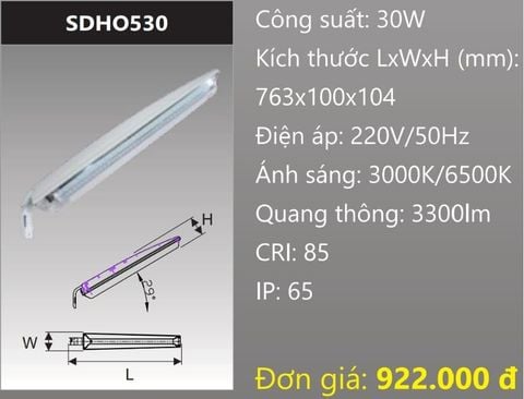  ĐÈN ĐƯỜNG NỘI BỘ LED 30W DUHAL SDHO530 