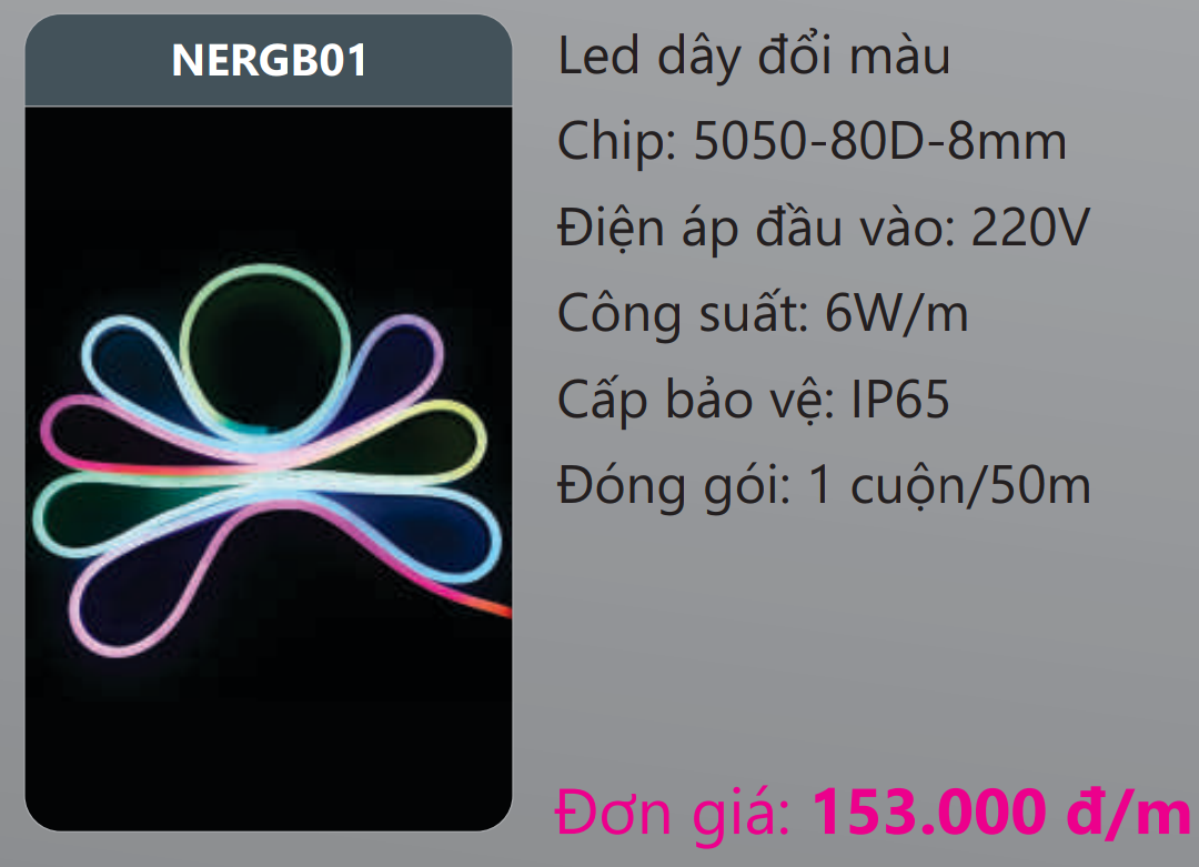 ĐÈN LED DÂY NEON ĐỔI MÀU DUHAL NERGB01