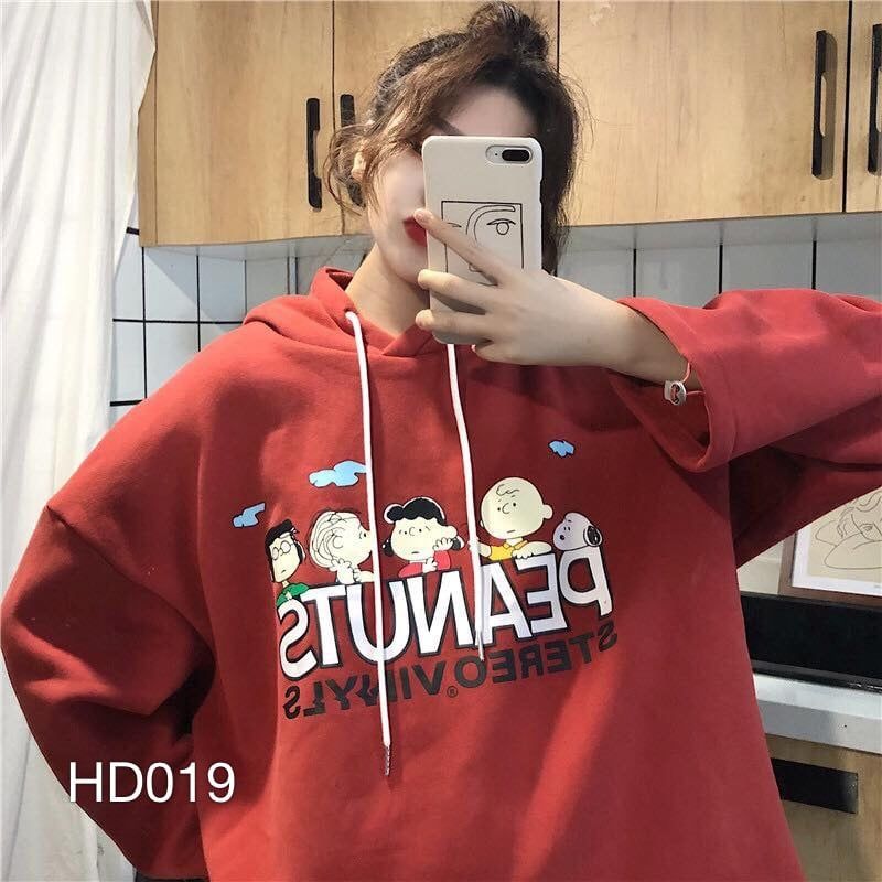 HD019 - ÁO HOODIE 5 CHÚ BÉ