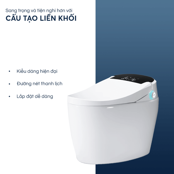 Các yếu tố cần lưu ý khi chọn mua bồn cầu khối