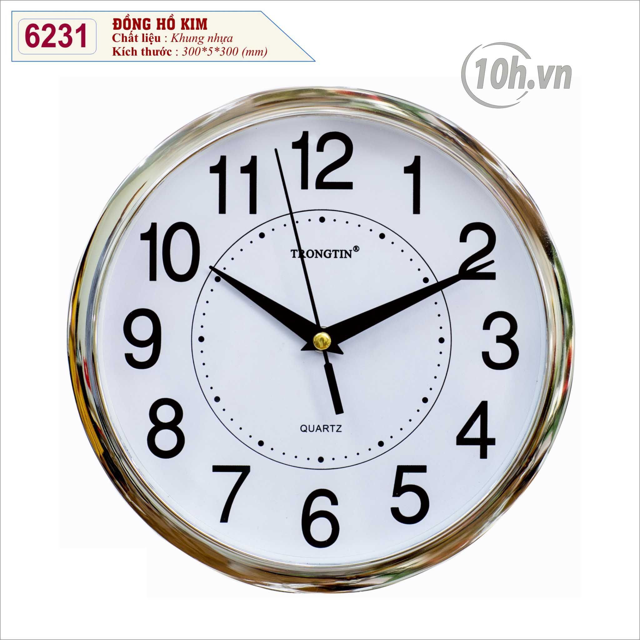  Đồng Hồ Treo Tường TT6231 
