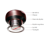  ZENUS 