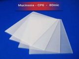Giấy Ép Plastic Khổ A4- CP6 -  80mic