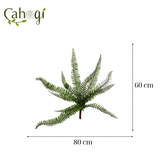 Cây Giả - Dương Xỉ Lá Me Gân Đỏ