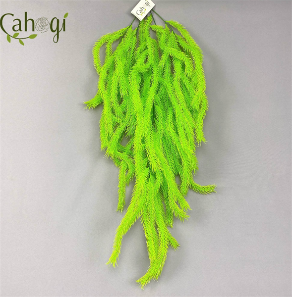 chum-day-leo-trang-tri-duoi-chon-11