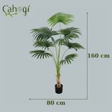 Cây Giả - Cây Cọ Giả Cỡ Lớn Nhiều Kích Thước
