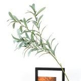Chùm Cây Lá Oliu 50Cm