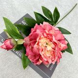 Hoa Giả Hoa Mẫu Đơn Bông Lớn 1 Nụ Nhiều Màu 68 Cm