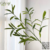 Cành ÔLIU Giả 90cm 6 Nhánh