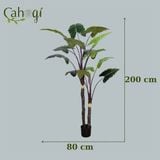 Cây Giả Cây Khoai Môn Cỡ Lớn Nhiều Kích Thước