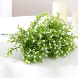 Hoa Chiêm Điểm 17 Cm