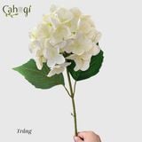 Hoa Giả Hoa Cẩm Tú Cầu Cao Su Bông Lớn 60 Cm
