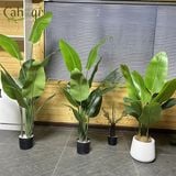Bộ Chuối Xẻ Quạt Giả Nhiều Kích Thước