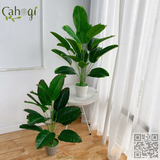Cây Giả - Cây Chuối 80 Cm 18 Lá