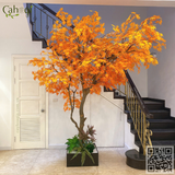 Thi Công Cây Phong Giả Cho Biệt Thự CIPUTRA