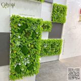 Thi Công 14 Bức Tranh Sen Đá Giả Trang Trí Văn Phòng DOHA LAND