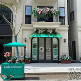 Thi Công Trang Trí Cây Hoa Giả Nhà Mẫu Cho Công Ty Bất Động Sản VinCom Hạ Lý Hải Phòng