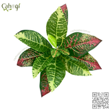 Cây Giả - Cây Vàng Anh Lá Mít 11 Lá Lớn 30 Cm