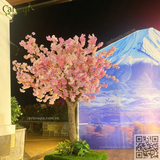 Thi Công Cho Thuê Cây Đào Sân Golf Thanh Lanh Vĩnh Phúc