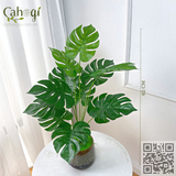 Cây Giả Trang Trí - Cây Trầu Bà Nam Mỹ Monstera Cây Lá Rùa 50Cm