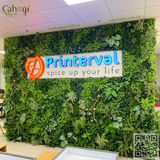 Thi Công Tường Rêu Giả Cho Văn Phòng Printerval Thanh Xuân