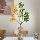 Cành Ngũ Gia Bì Hương Cao Cấp 12 Ngọn Lá 70 CM