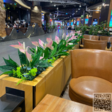Thi Công Thay Thế Bồn Cây Giả Cho Quán Cafe Starbucks Tại AEON MALL Hà Đông
