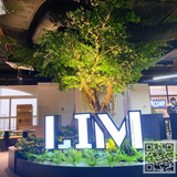 Thi Công Tiểu Cảnh Cây Giả Văn Phòng Lim Group Tòa Nhà Sông Đà