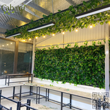 Thi Công Tường Cây Dây Leo Giả Quán Cafe Phương án Tiết Kiệm