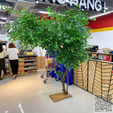 Thi Công Cây Si Giả Trưng Bày Quầy Hoa Qủa Siêu Thị Winmart