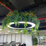 Thi Công Cắm Cây Giả Trang Trí Đèn Treo Trần Văn Phòng